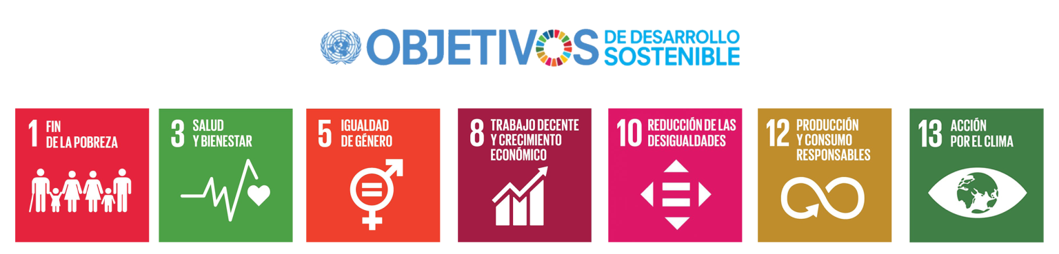 Objetivos de Desarrollo Sostenible de la ONU
